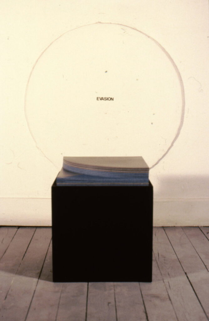 1989_evasion