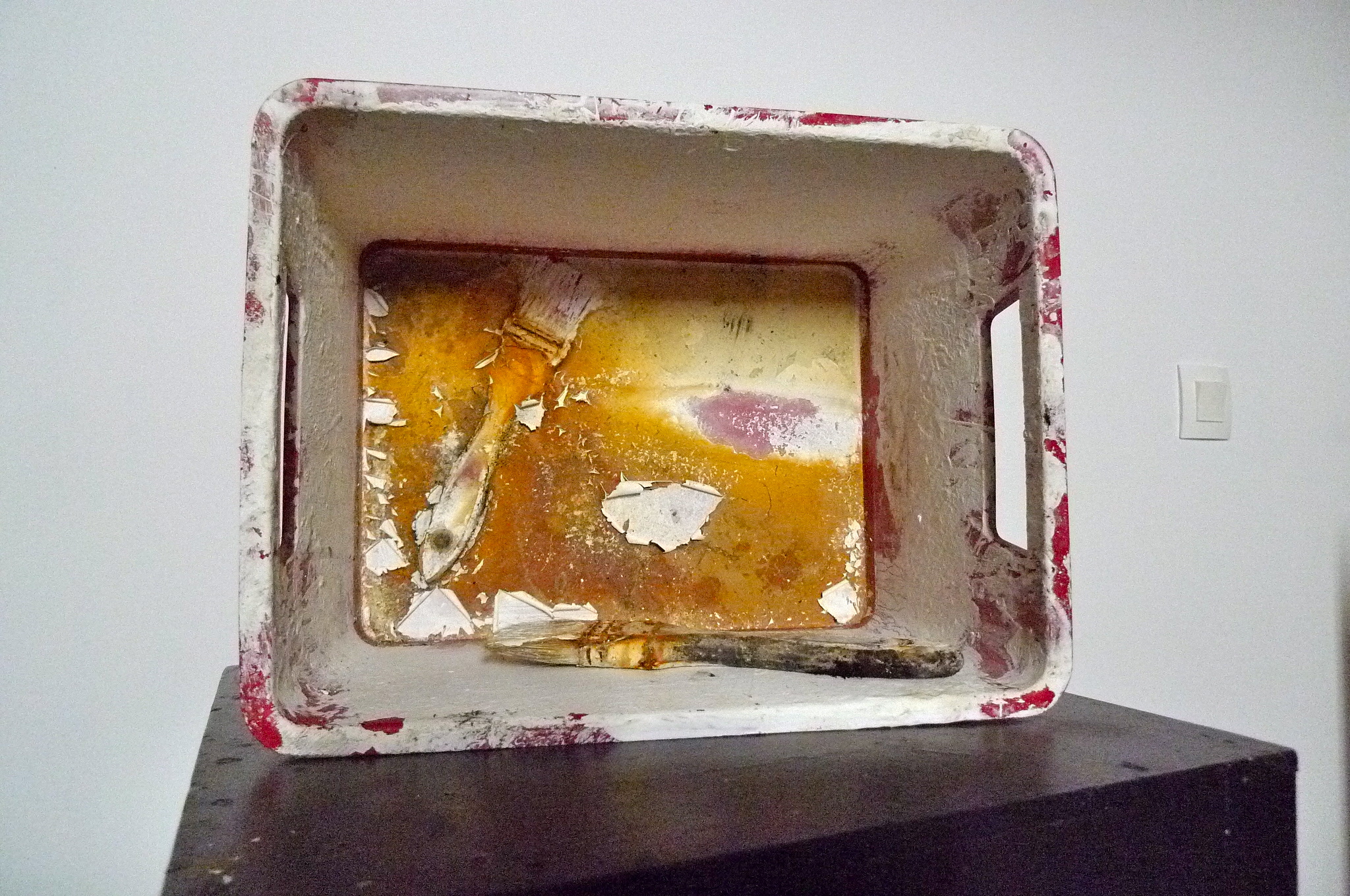 2008_p1060495