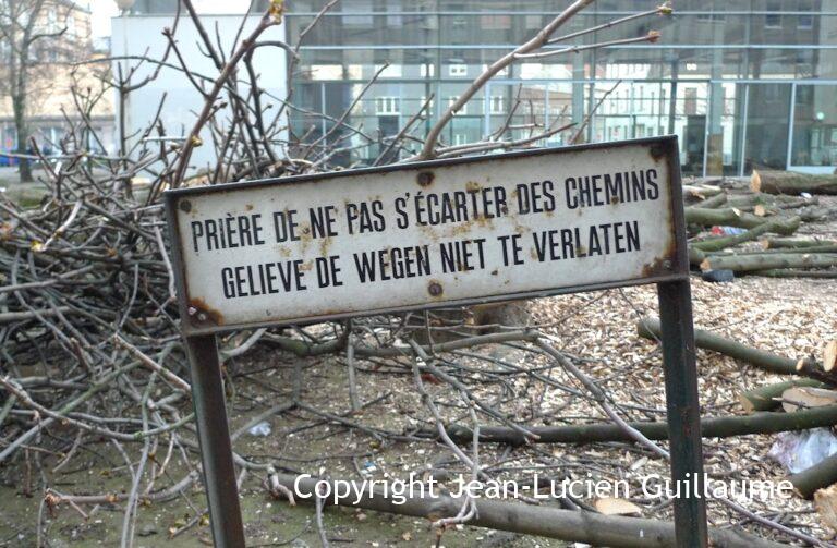 Jardin aux fleurs, 1000 Bruxelles, 14/03/2014