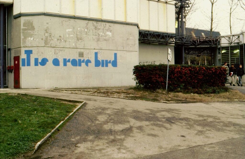 jlg-a_rare_bird