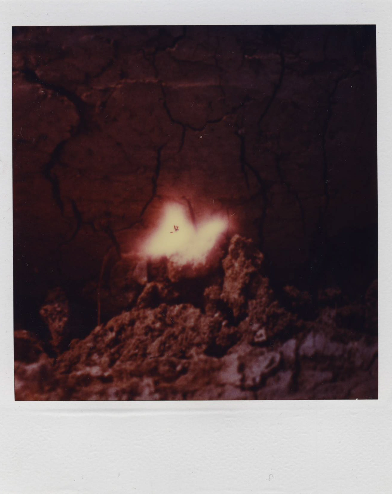 1983_paysage