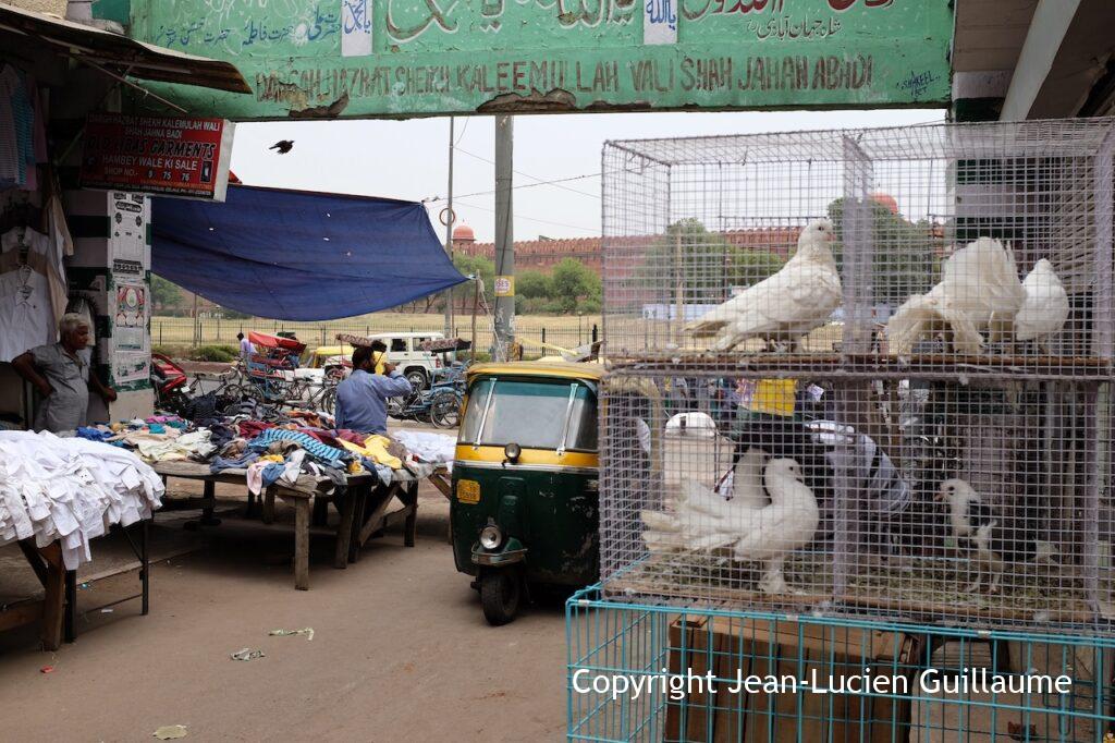 Delhi, India, 2014