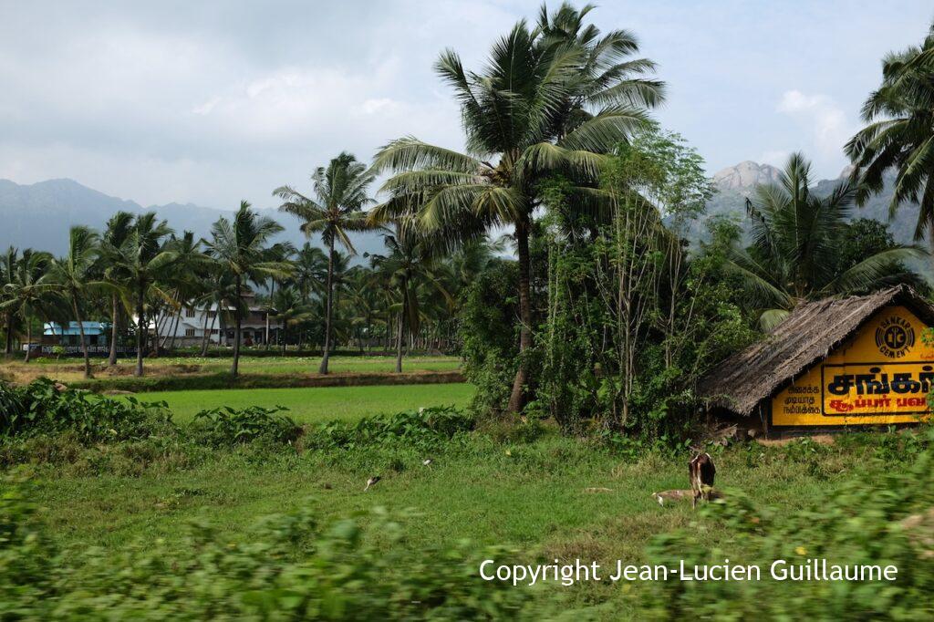 Kerala, India, 2014