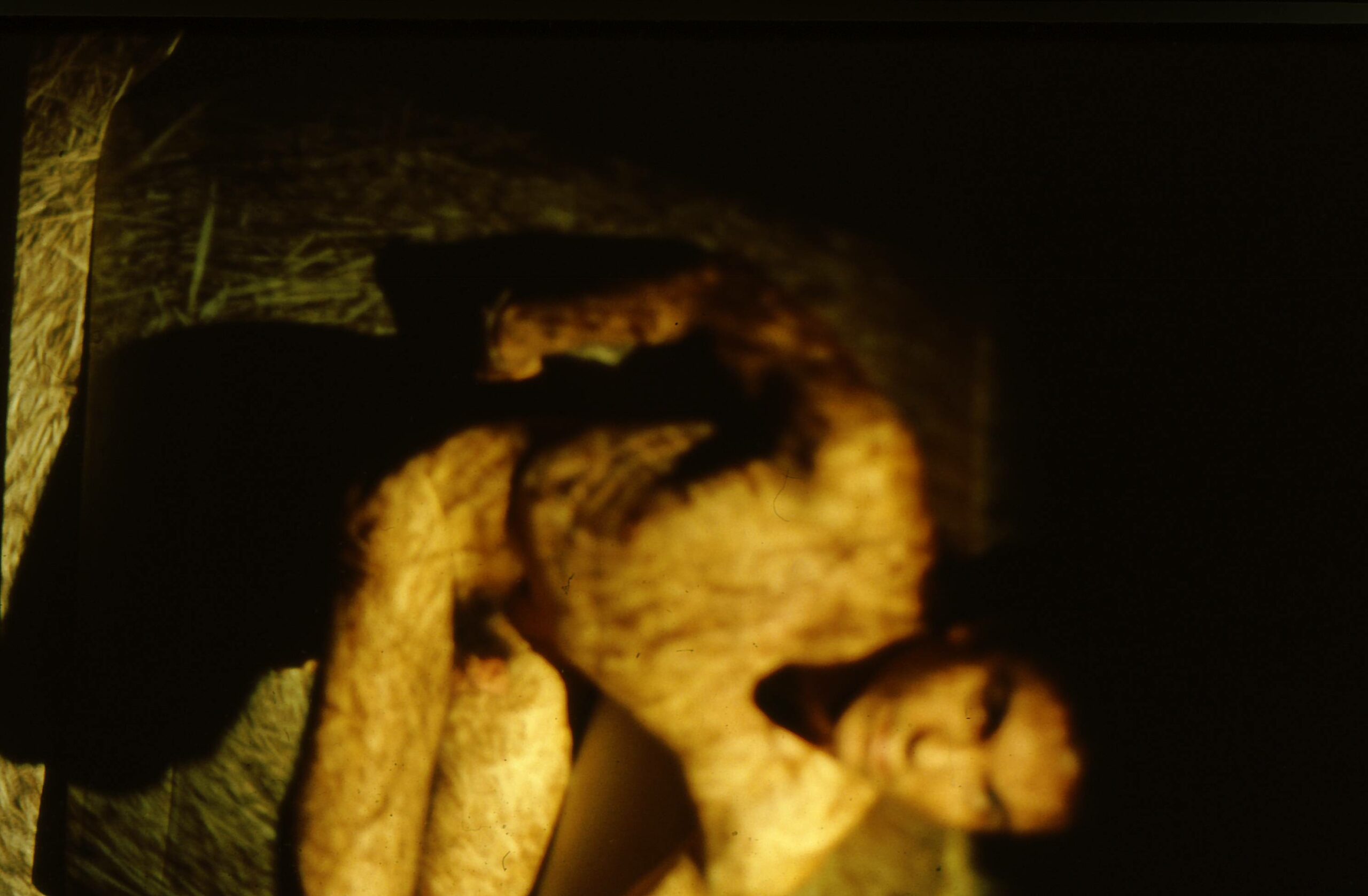 1981sous_la_paille
