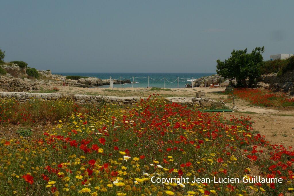 Puglia, Italia, 2011
