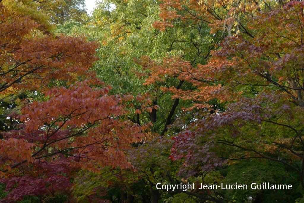 Korea, 2009