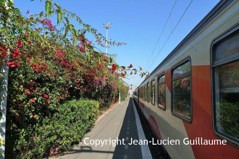 Gare des Voyageurs, Casablanca, Maroc, 2015