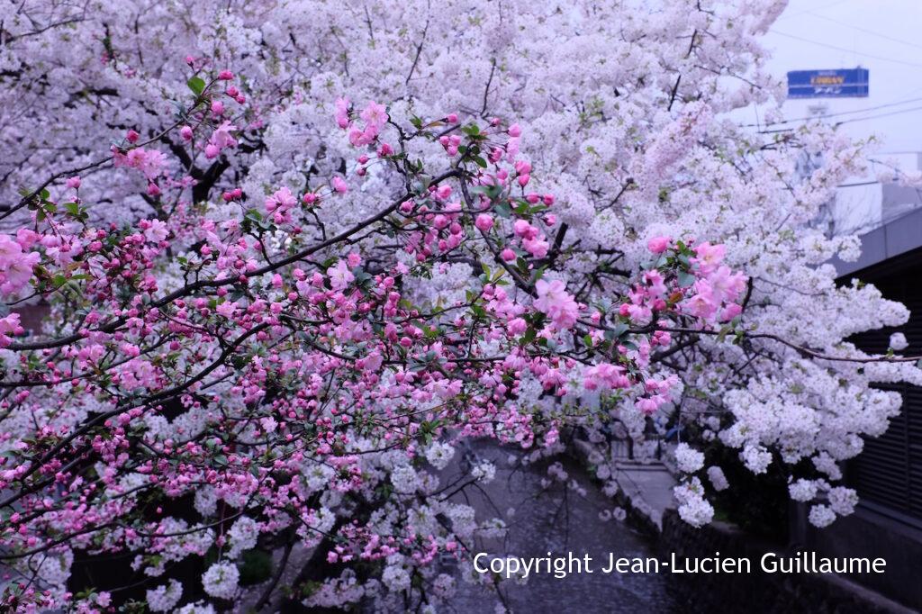 Japan, 2016