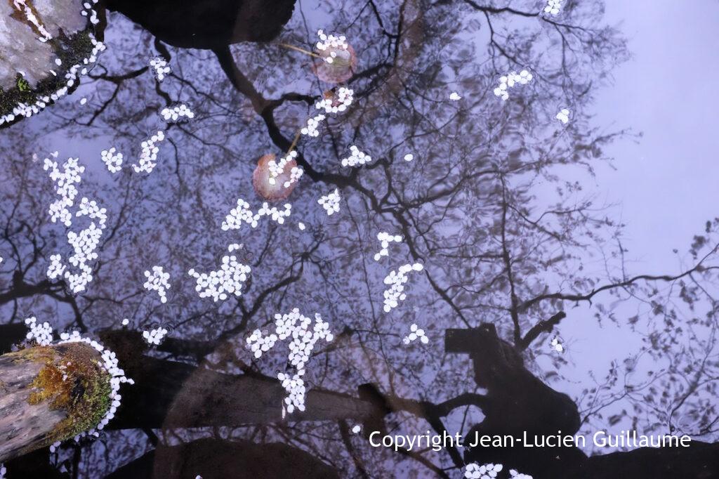 Japan, 2016