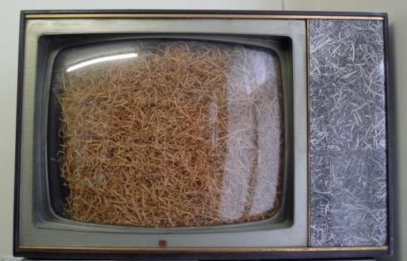 1985_tv_palea