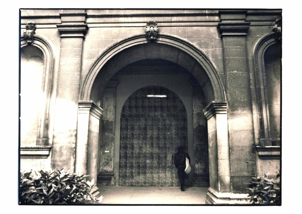 Arcada palea - Musée Saint-Pierre