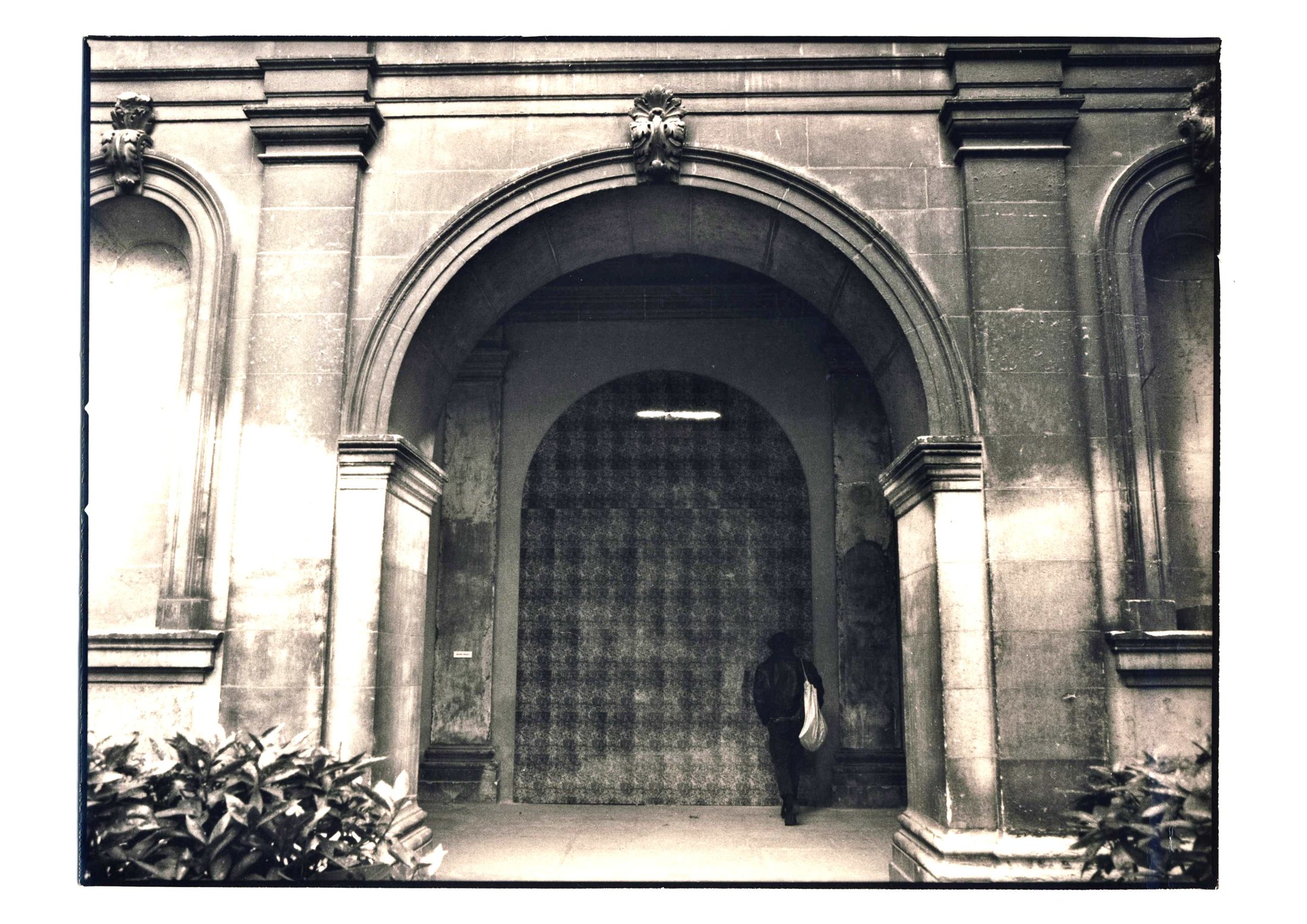 Arcada palea - Musée Saint-Pierre