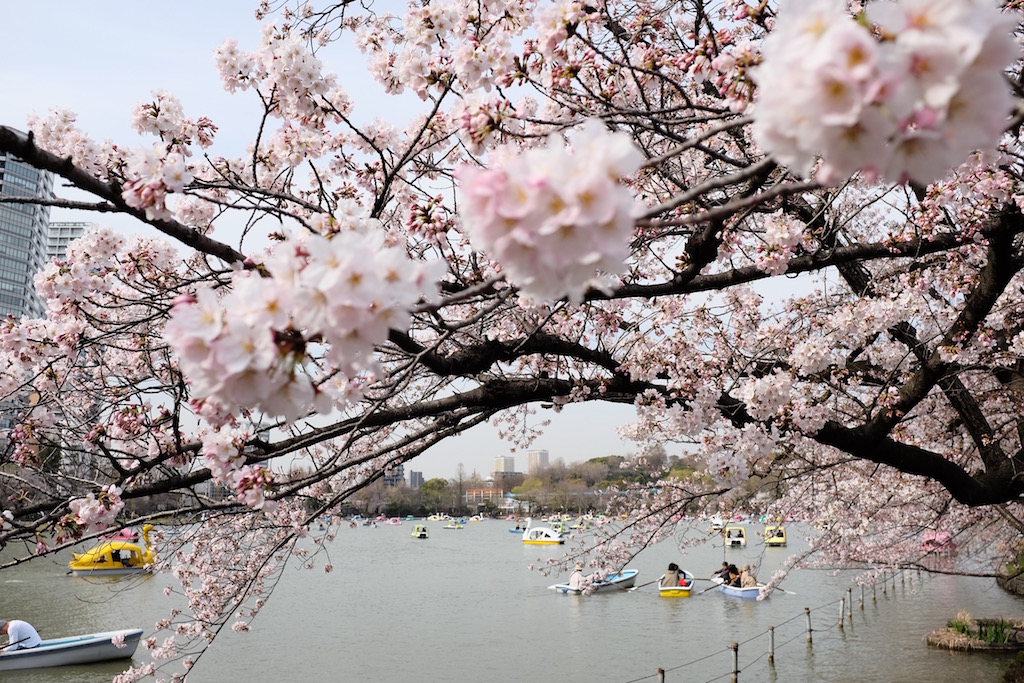 Japan